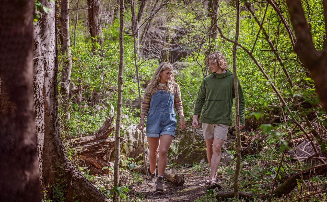 Eden Cabin Forested Tiny Home On Lookout Mtn Chattanooga Exteriér fotografie