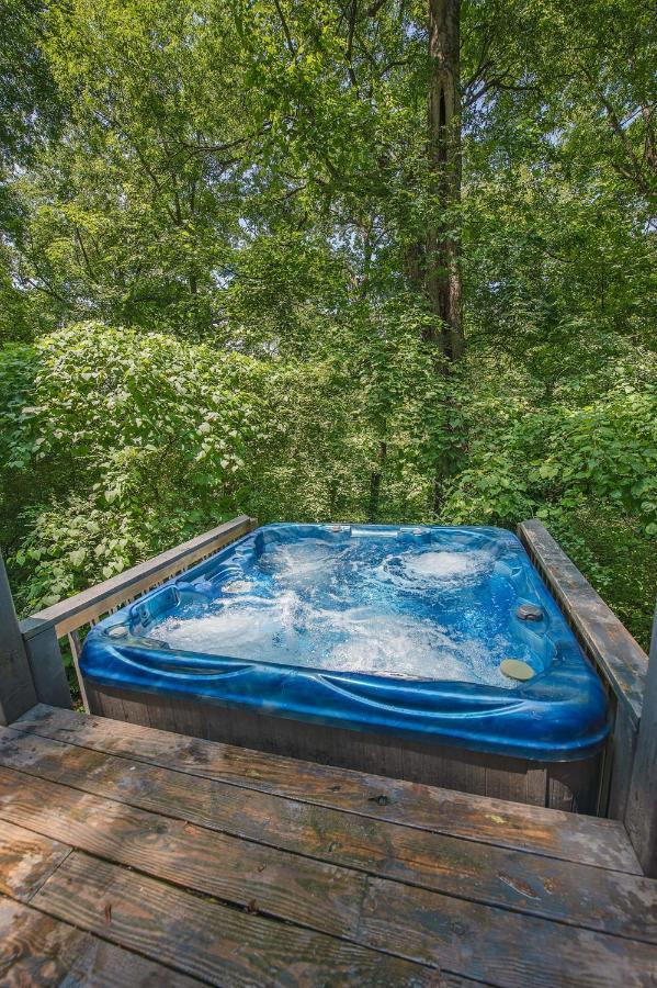 Eden Cabin Forested Tiny Home On Lookout Mtn Chattanooga Exteriér fotografie